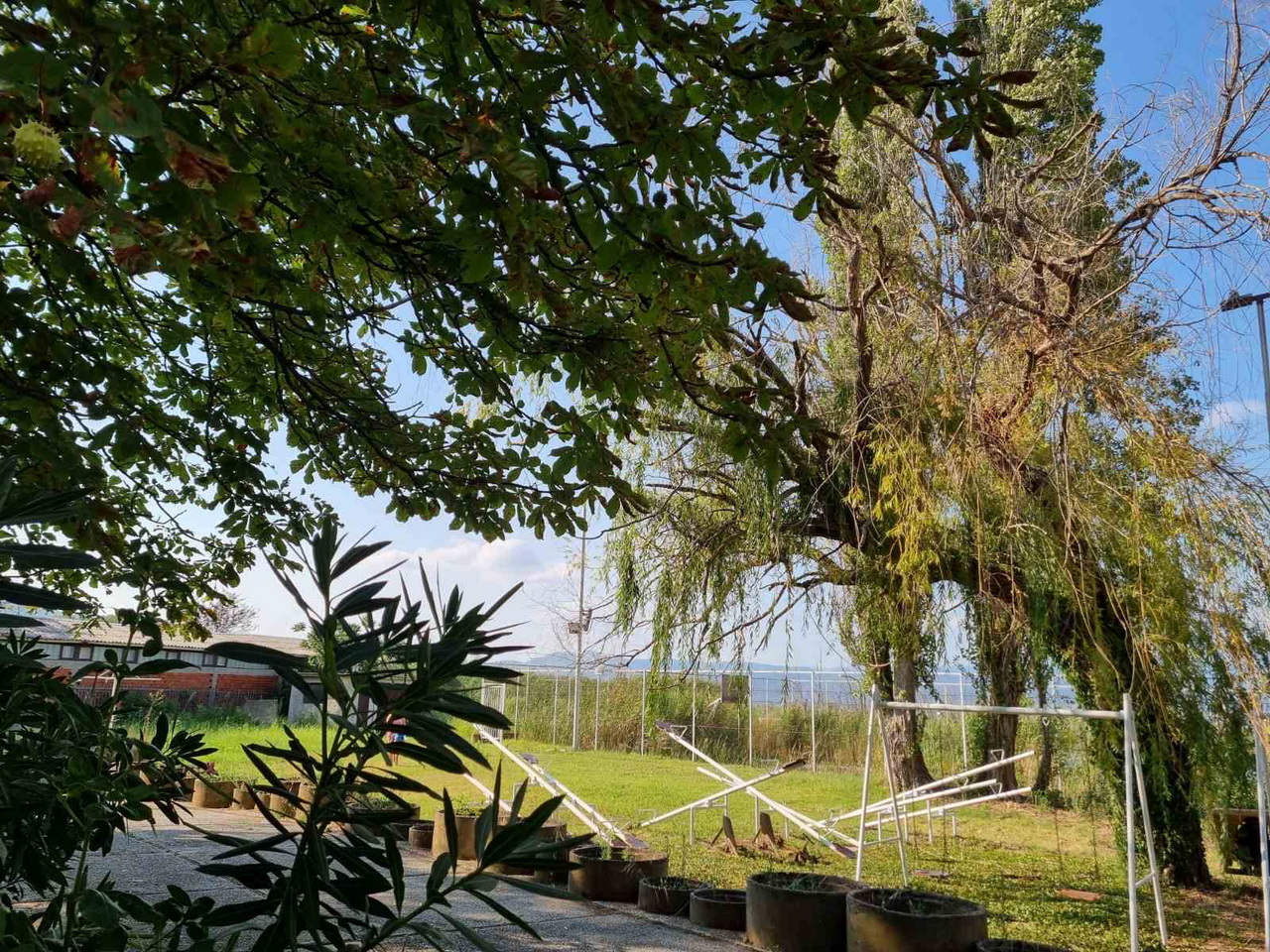  Fuk Tak bungalovi Dojran 